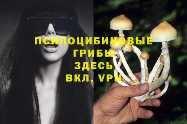 а пвп мука Алексеевка