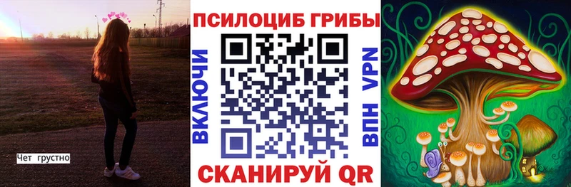 Псилоцибиновые грибы Cubensis  как найти закладки  Клин 